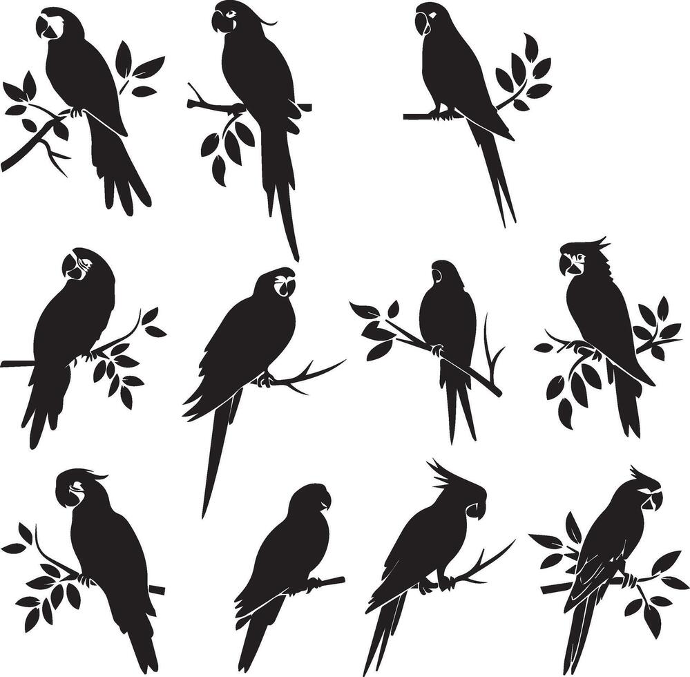 Set of black Silhouette Parrot on a branch vector