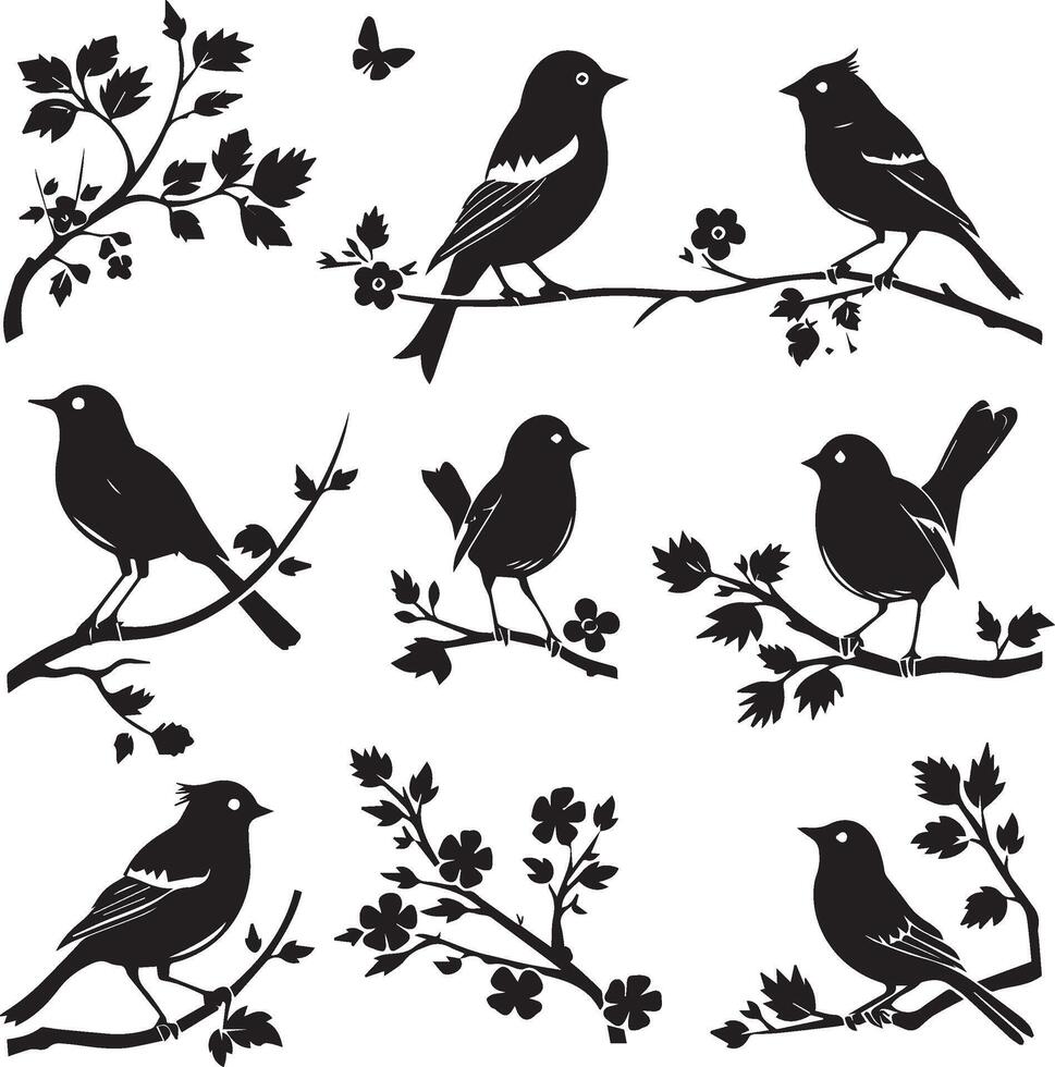 Set of Bird on a Tree branch black silhouette vector