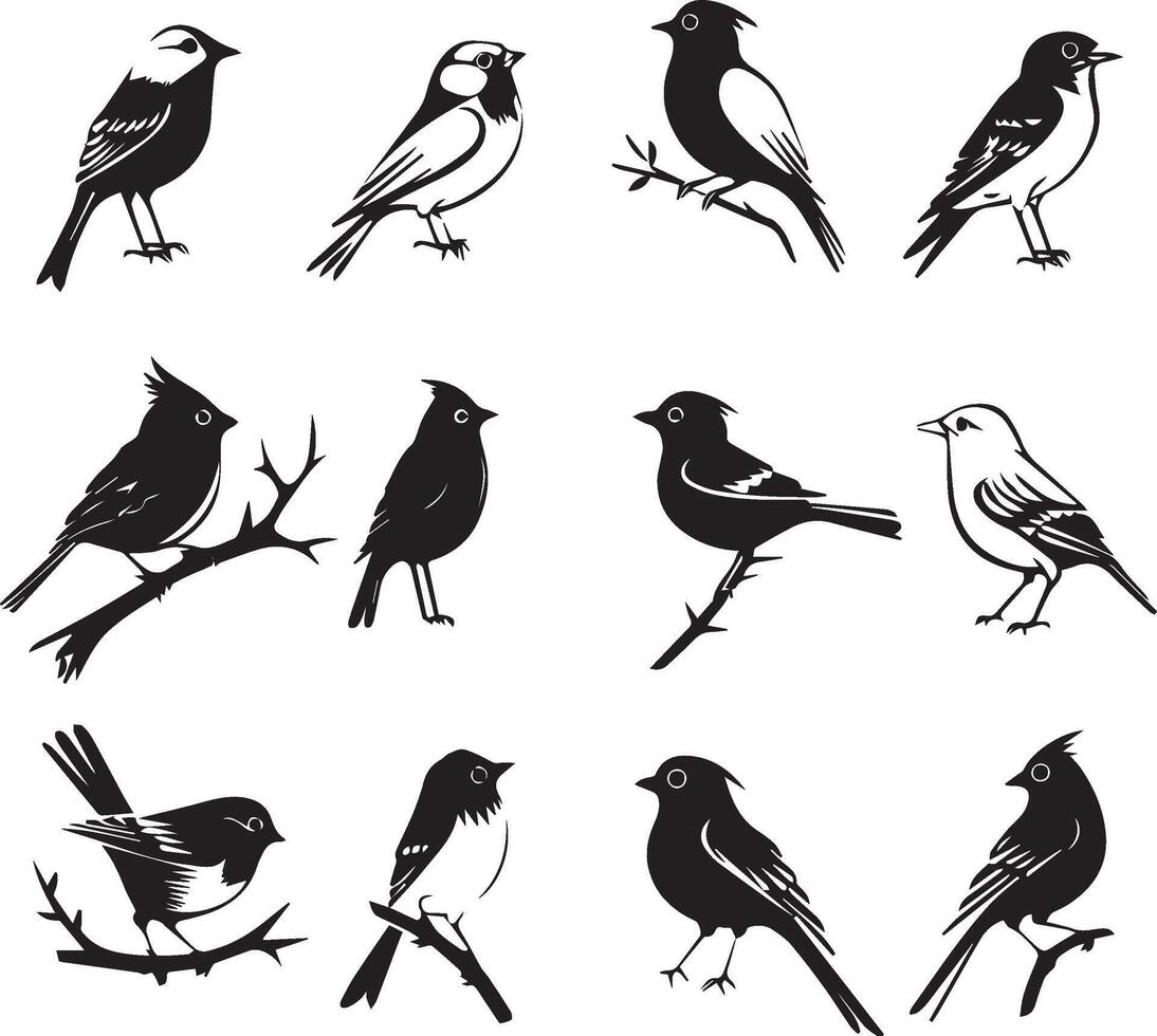 Black silhouette birds on white background vector