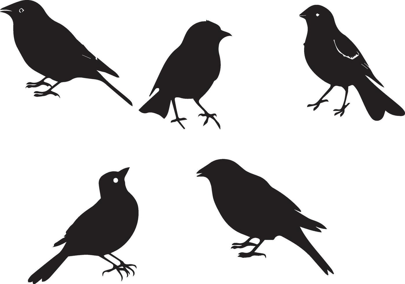 Set of Birds Black Silhouette on white background vector