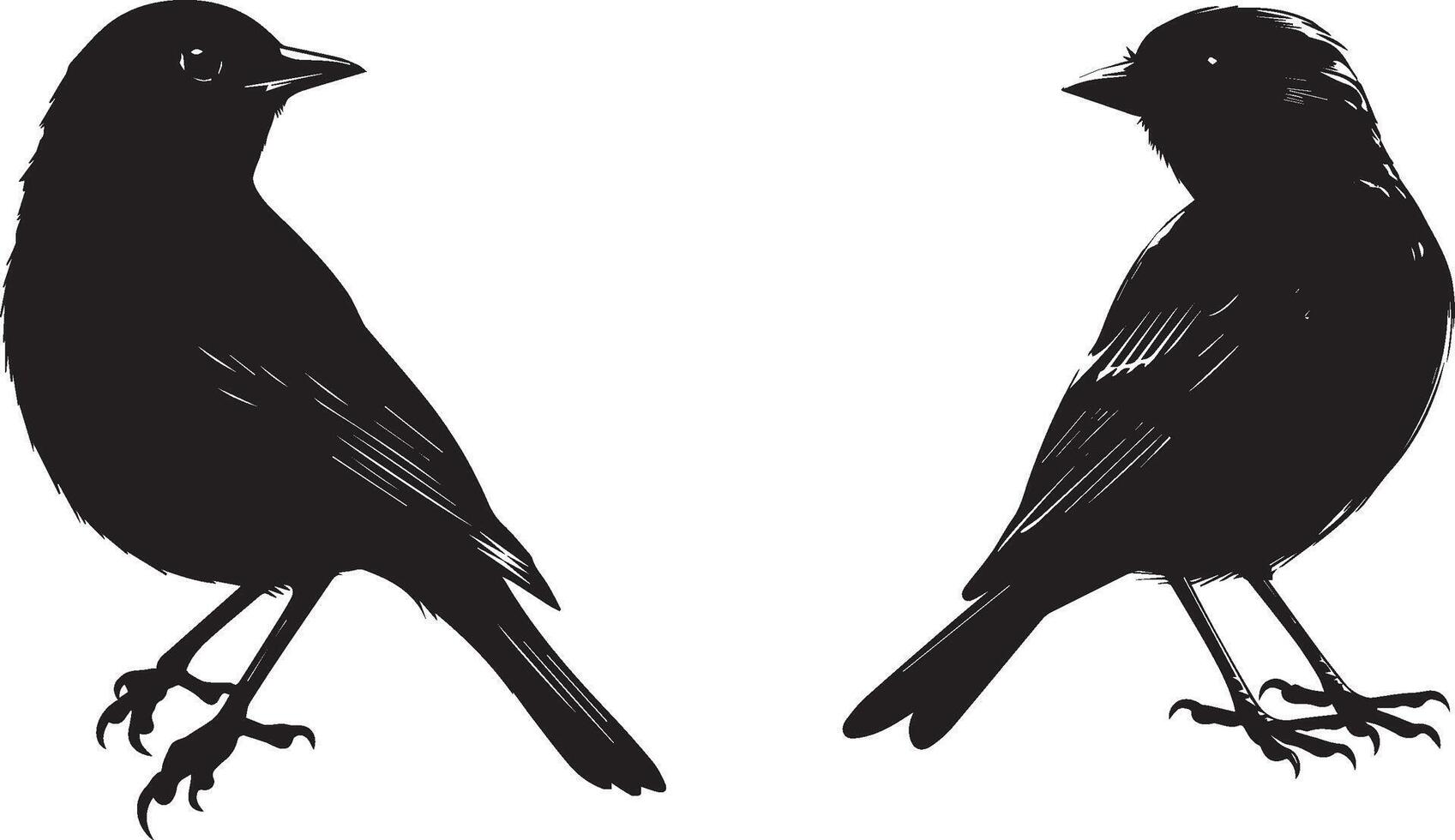 negro silueta aves en blanco antecedentes vector