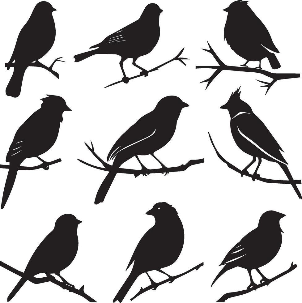 Set of Birds Black Silhouette on white background vector