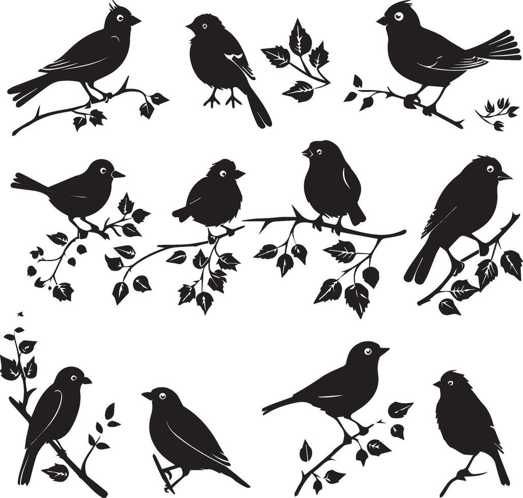 Set of Bird on a Tree branch black silhouette vector