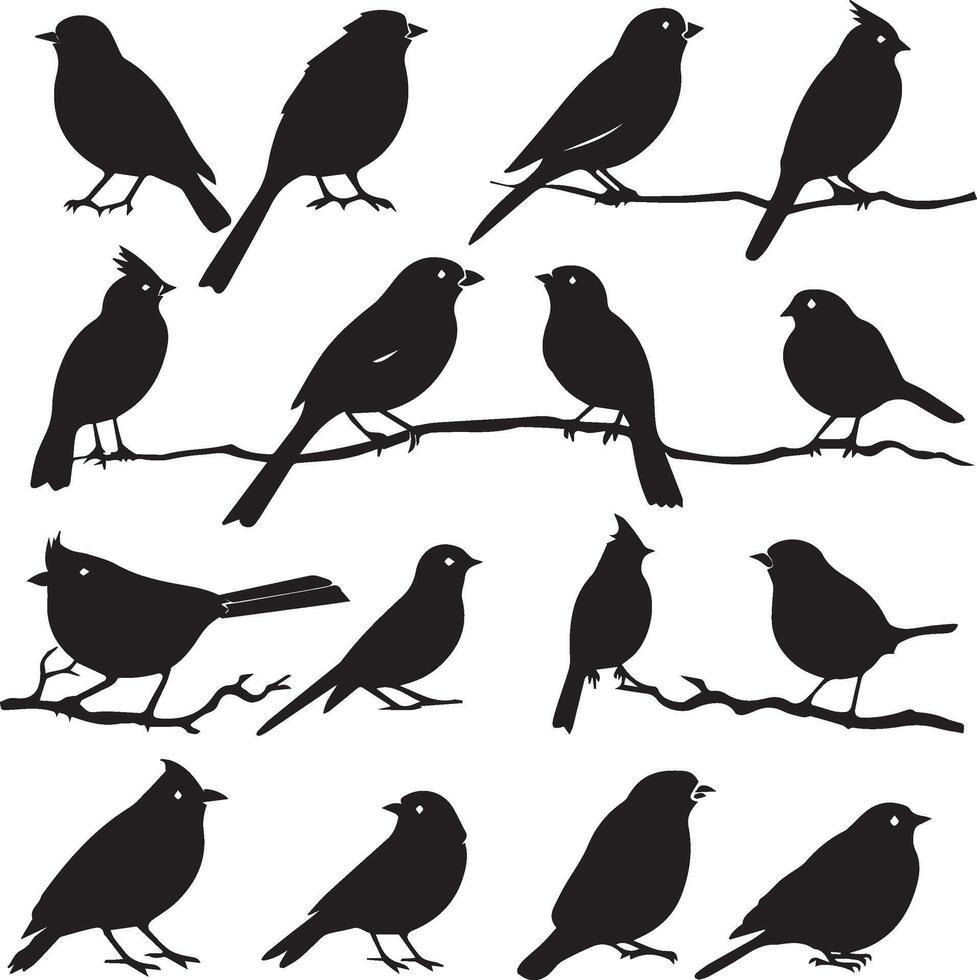 Set of Birds Black Silhouette on white background vector