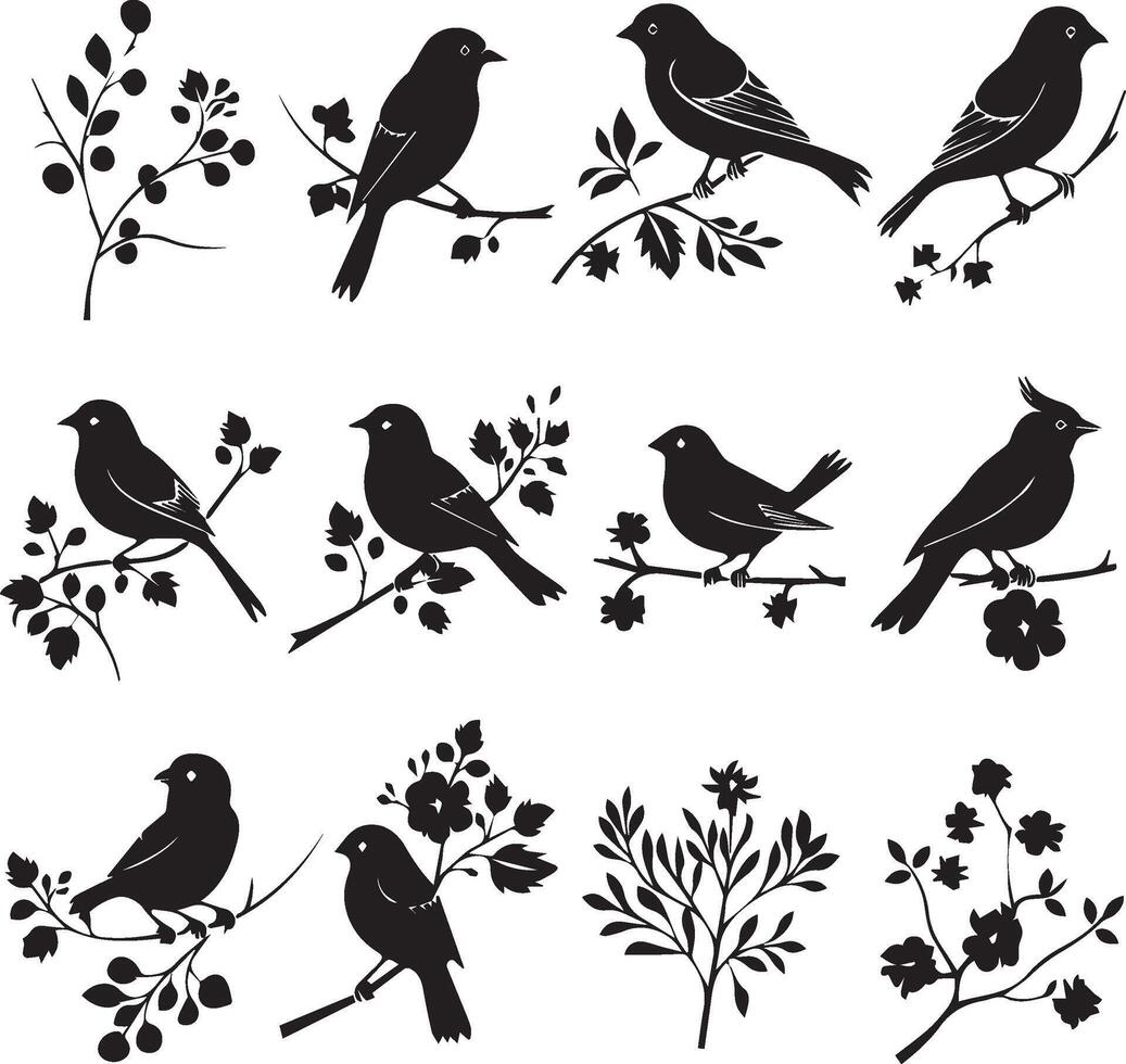 conjunto de pájaro en un árbol rama negro silueta vector