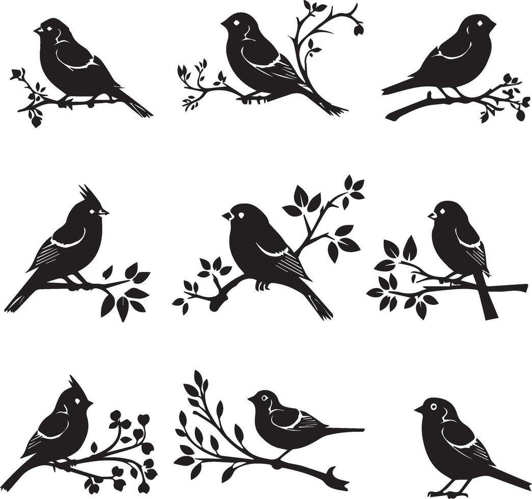 Silhouette of Sparrow birds on the branch white background vector