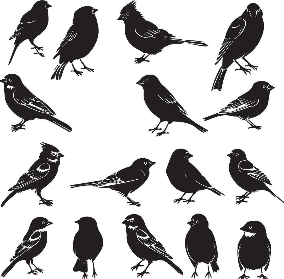 negro silueta aves en blanco antecedentes vector