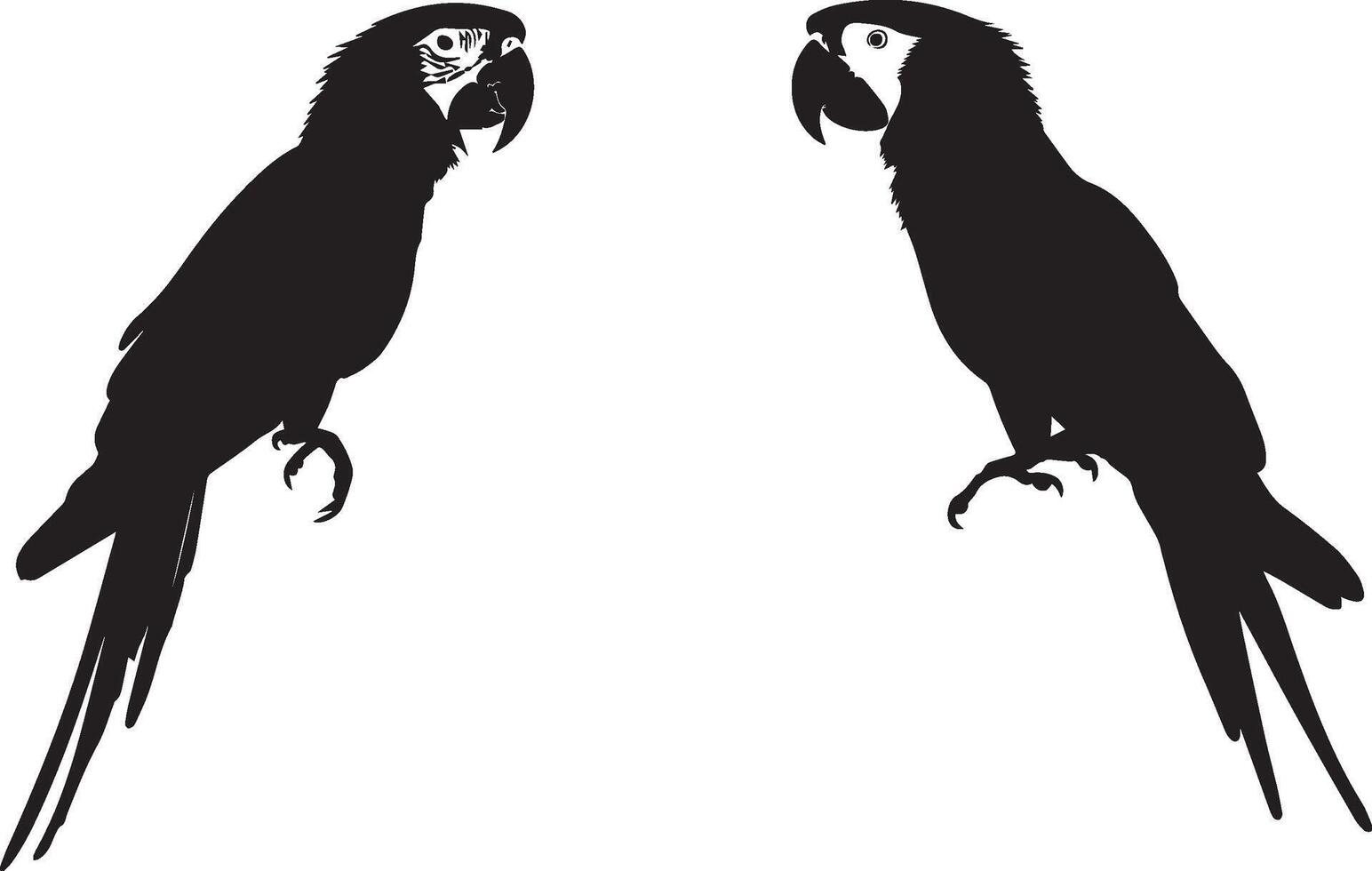 Set of black Silhouette Macaw vector