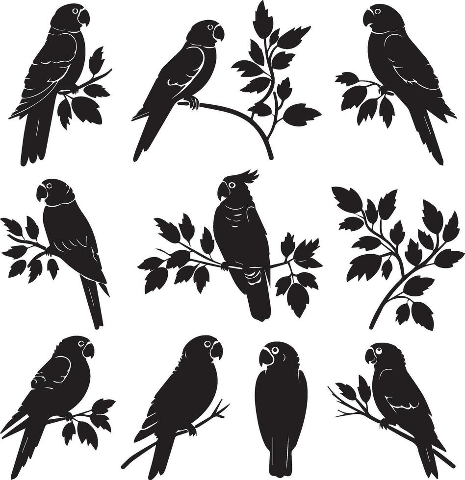 Set of black Silhouette Parrot on a branch vector