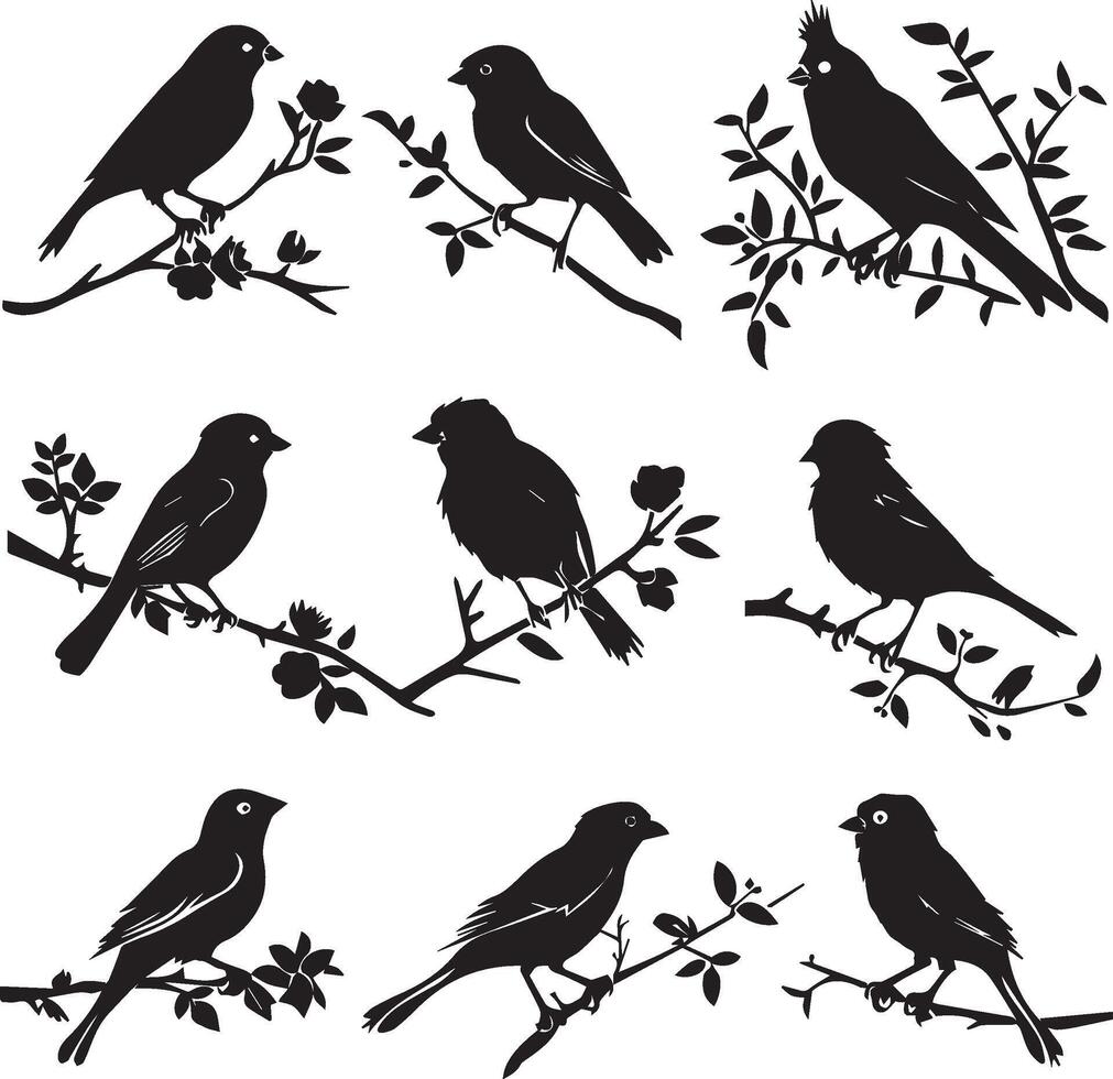 Silhouette of Sparrow birds on the branch white background vector