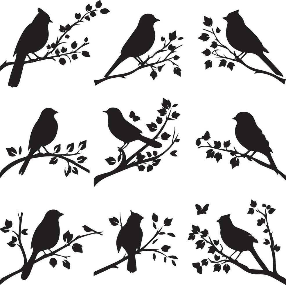 Set of Bird on a Tree branch black silhouette vector