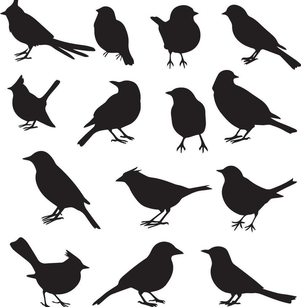 Set of Birds Black Silhouette on white background vector