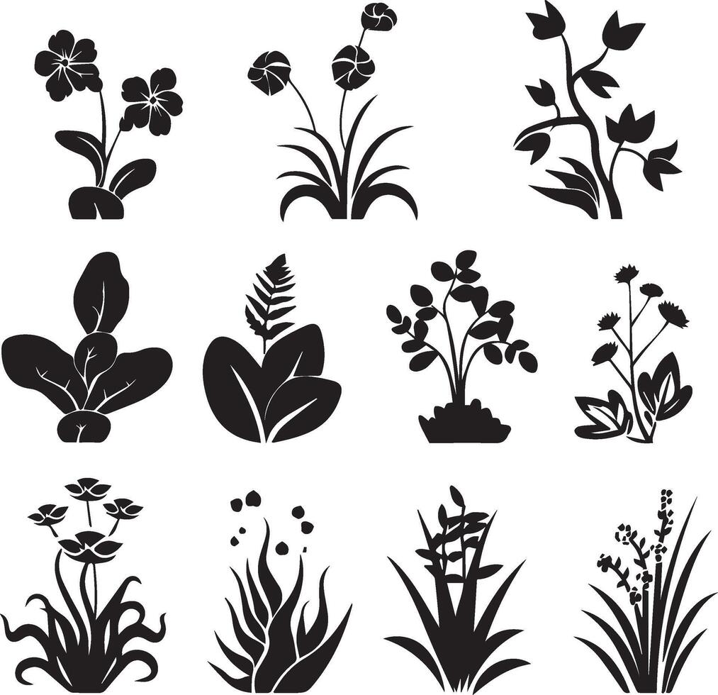 hermosa plantas con hojas negro silueta vector