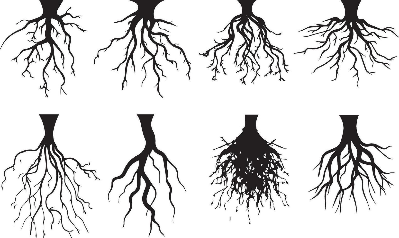 Root Icons Black Silhouette on white background vector