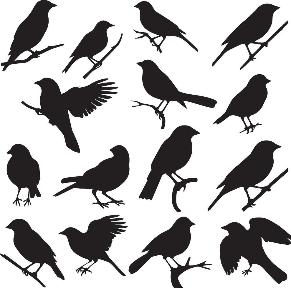 Set of Birds Black Silhouette on white background vector