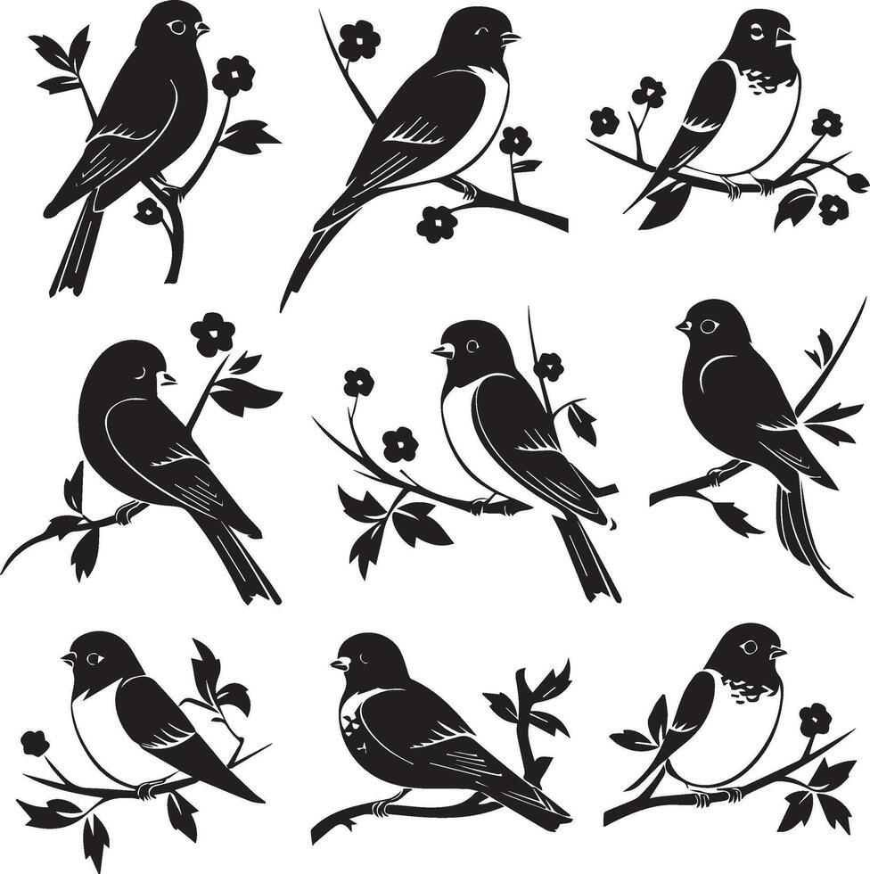 Silhouette of Sparrow birds on the branch white background vector