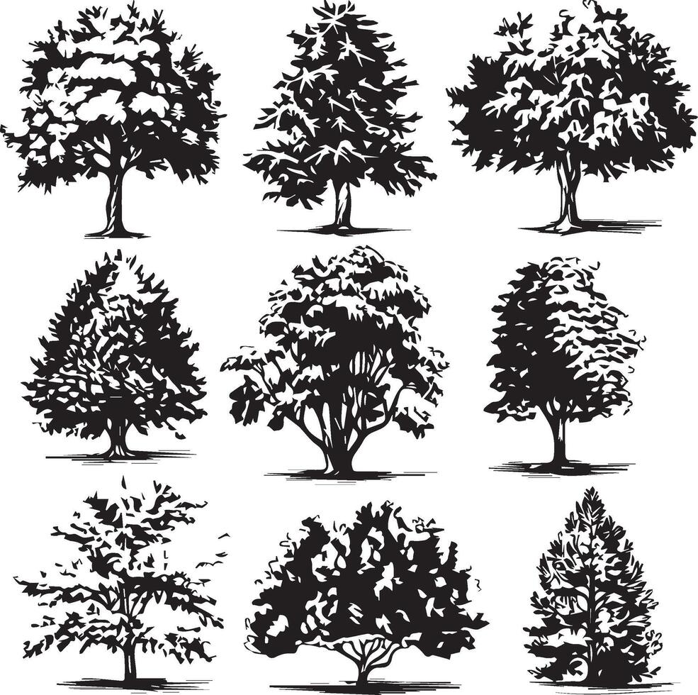grande conjunto de mano dibujado árbol bocetos en blanco antecedentes vector