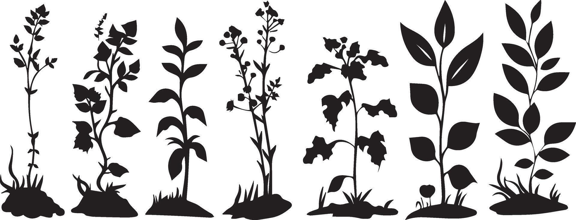 Beautiful plants with leaves black silhouette vector