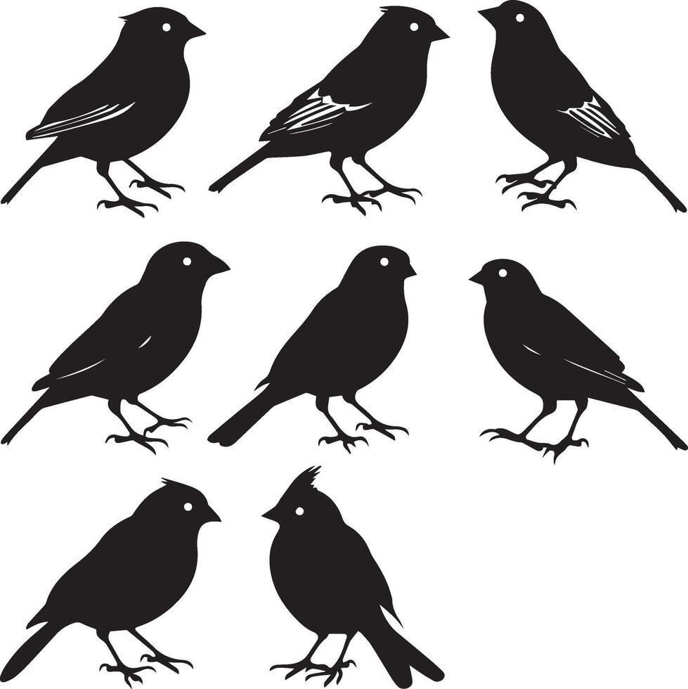 conjunto de aves negro silueta en blanco antecedentes vector