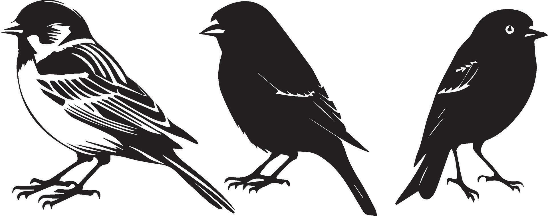 Black silhouette birds on white background vector