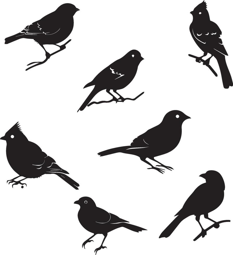 Set of Birds Black Silhouette on white background vector