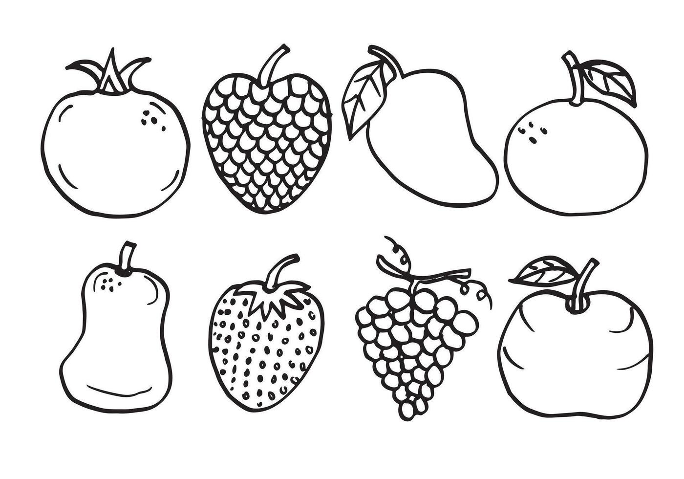 Various fruit sketch on white background.vector illustration. vector