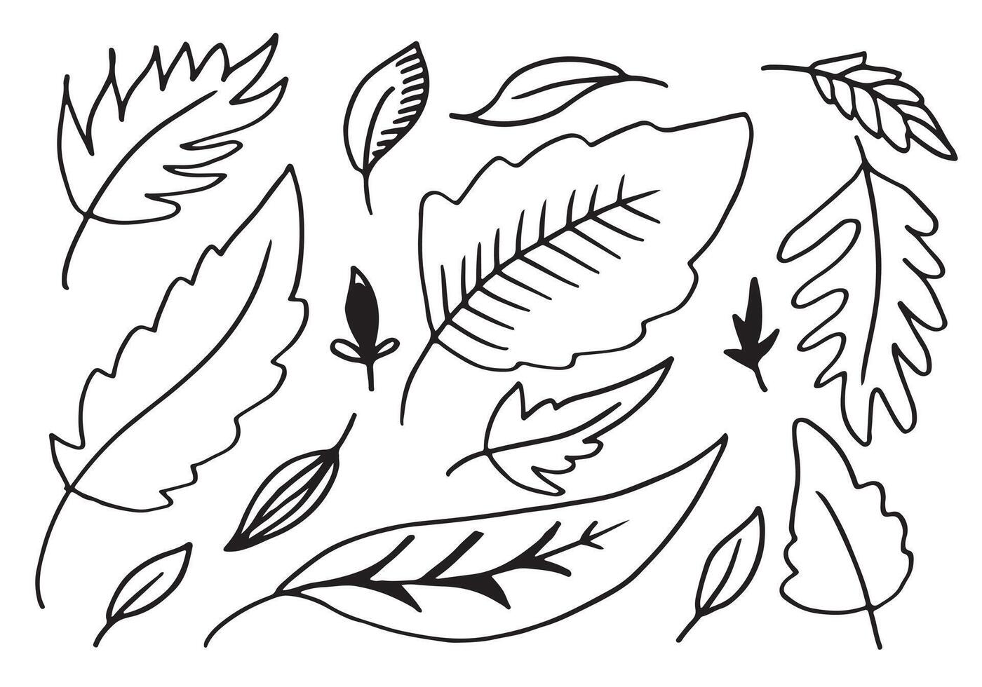 Hand drawn leaves isolated on white background.Leaves collection. vector