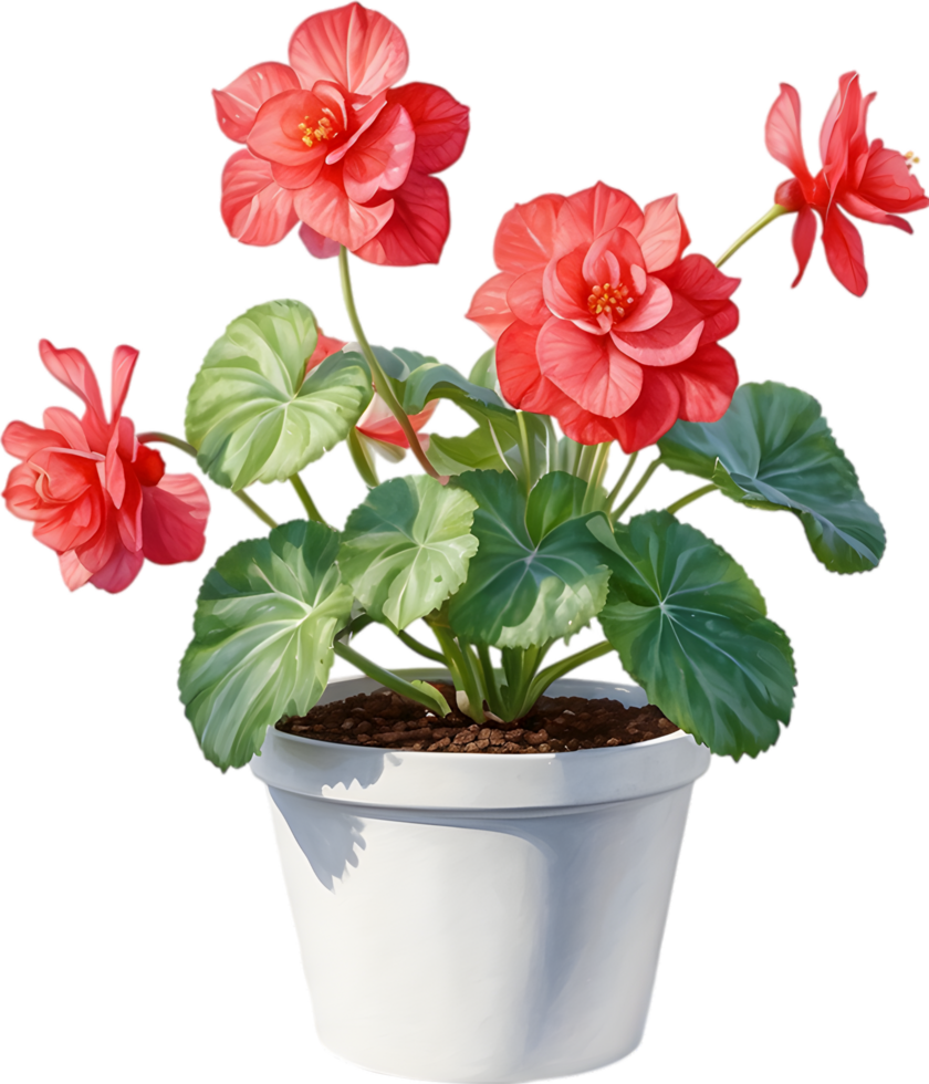AI generated Watercolor painting of a Rex Begonia plant. png