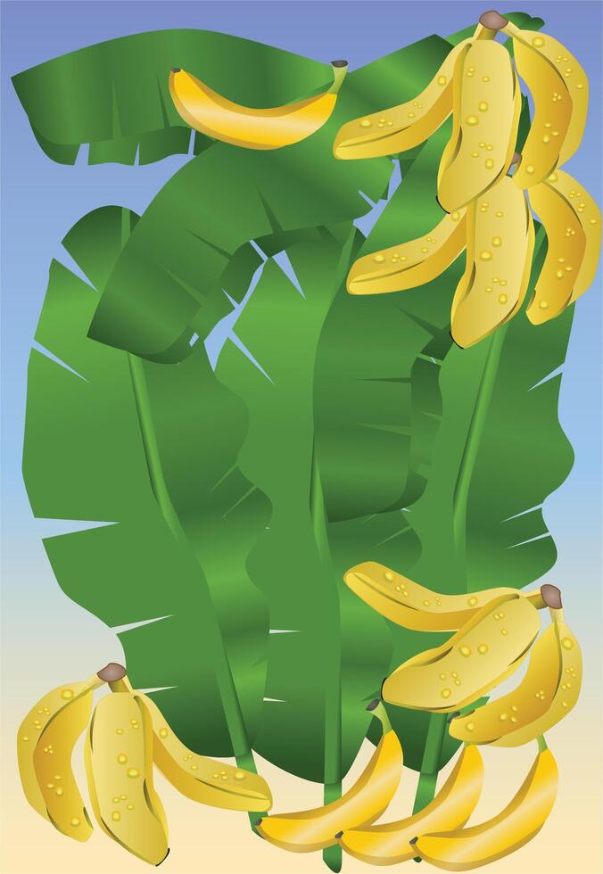 Banana and Leaves Background Vector