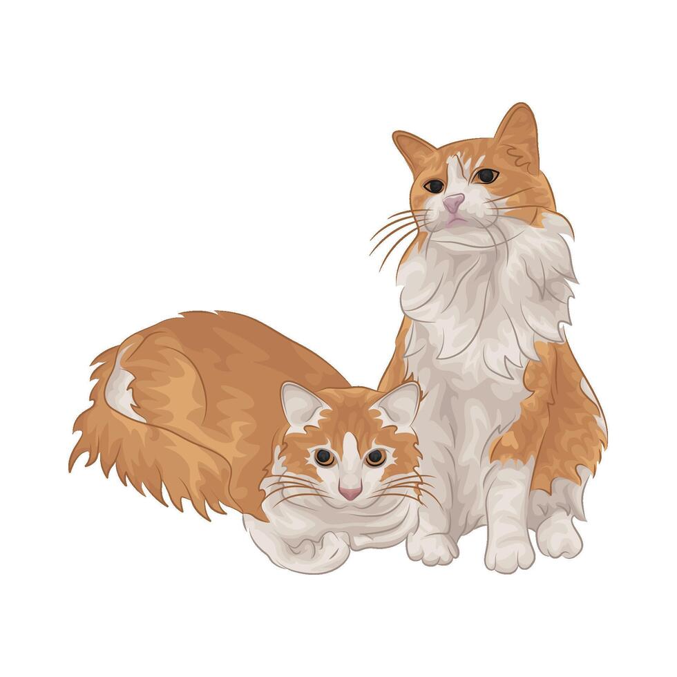 ilustración de dos gatos vector