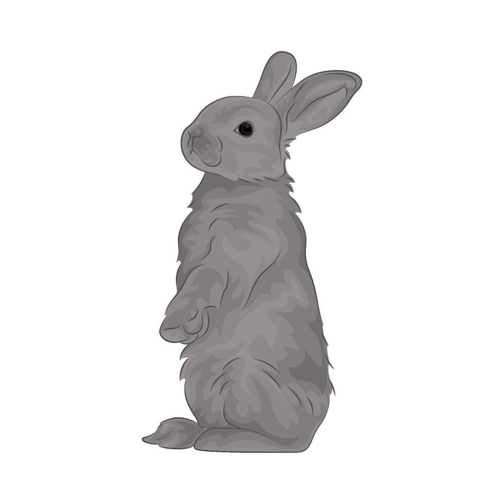 Illustration of standing rabbit vector