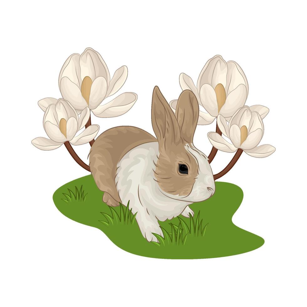 Illustration of rabbit vector