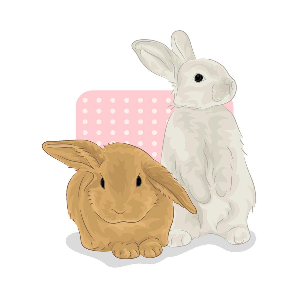 Illustration of two rabbits vector