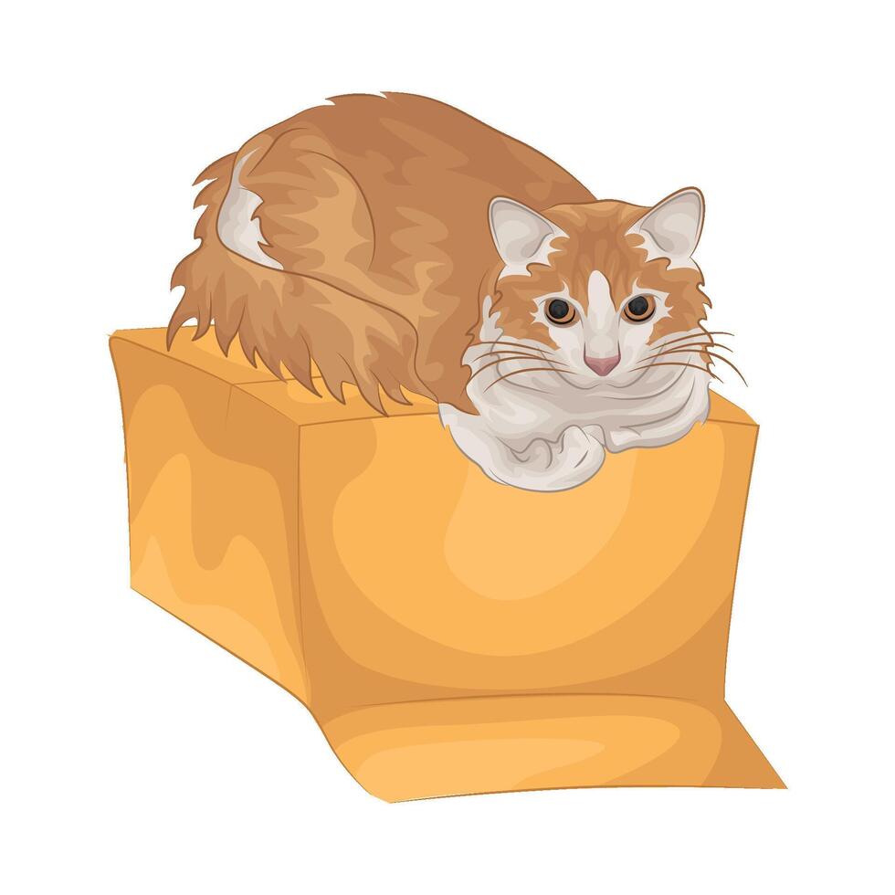 ilustración de gato vector