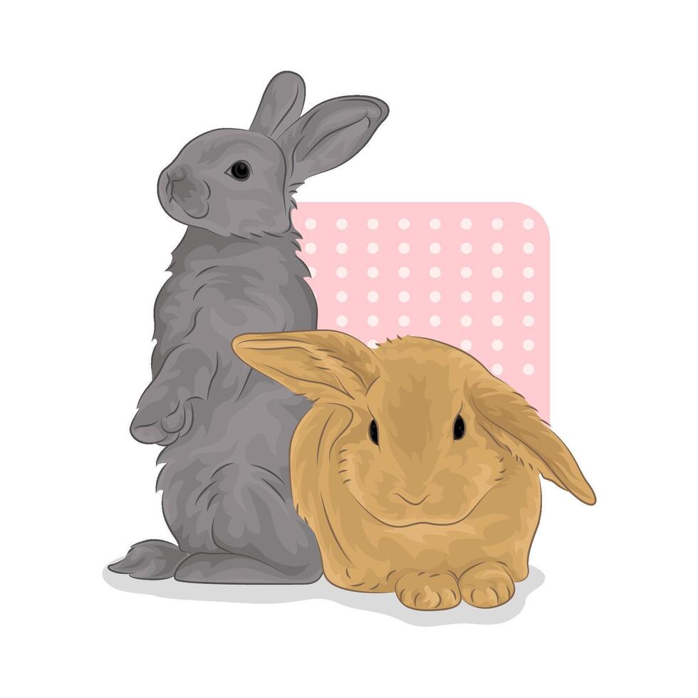 Illustration of two rabbits vector