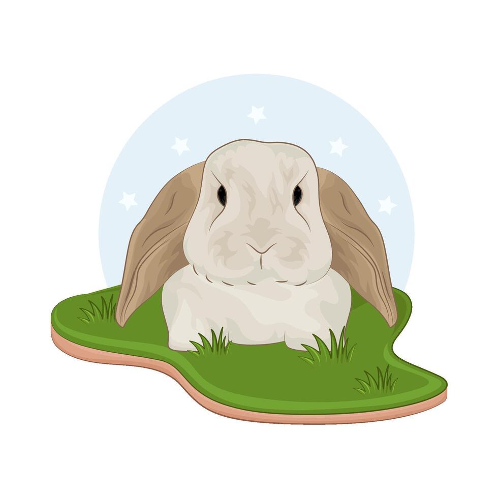 Illustration of rabbit vector