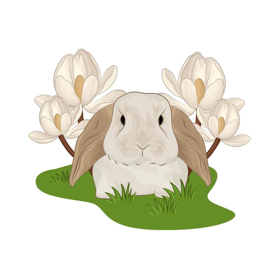 Illustration of rabbit vector