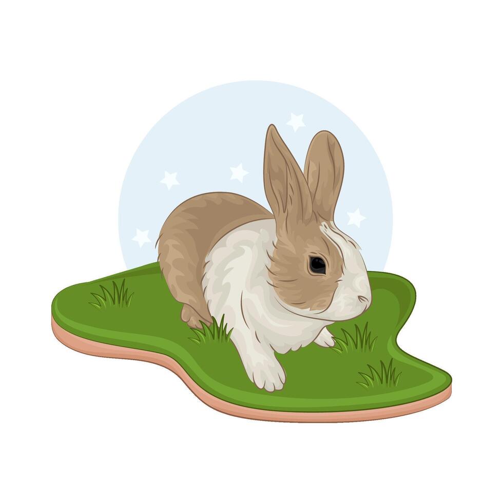 Illustration of rabbit vector