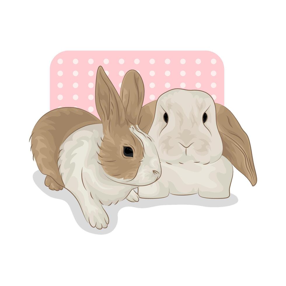 ilustración de dos conejos vector