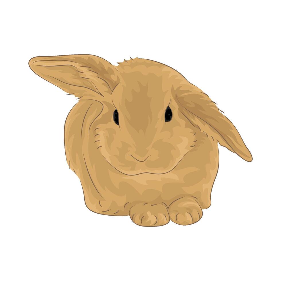 Illustration of rabbit vector