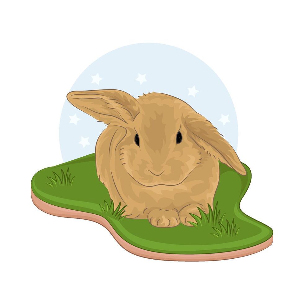 Illustration of rabbit vector