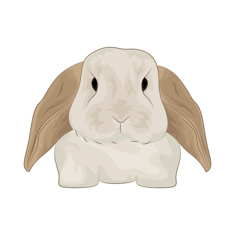 Illustration of rabbit vector