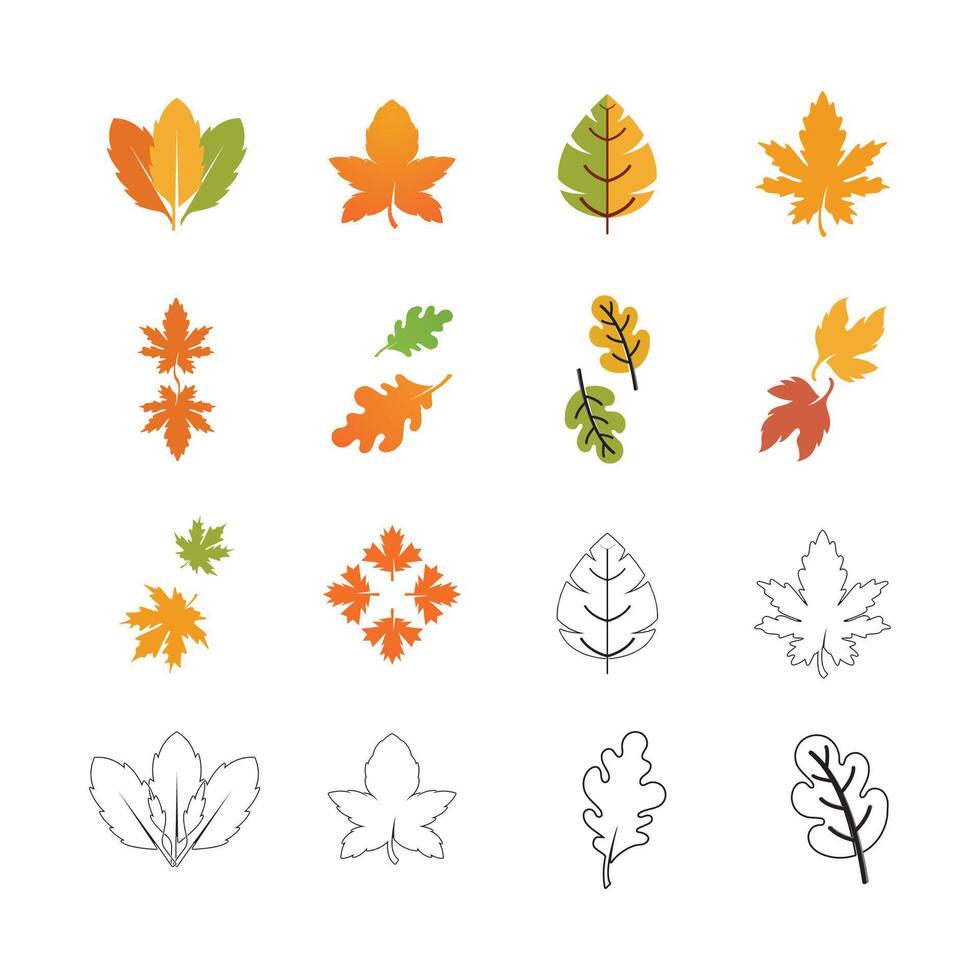 Autumn Maple leaf vector illustration design template