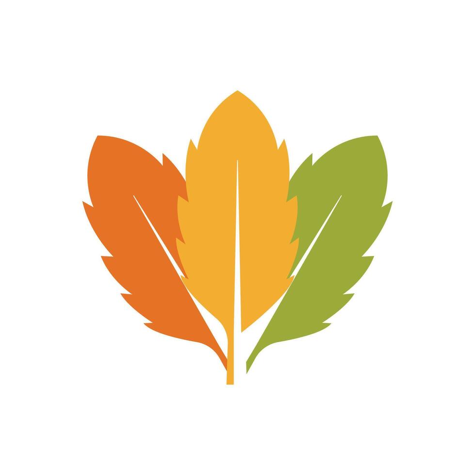 Autumn Maple leaf vector illustration design template