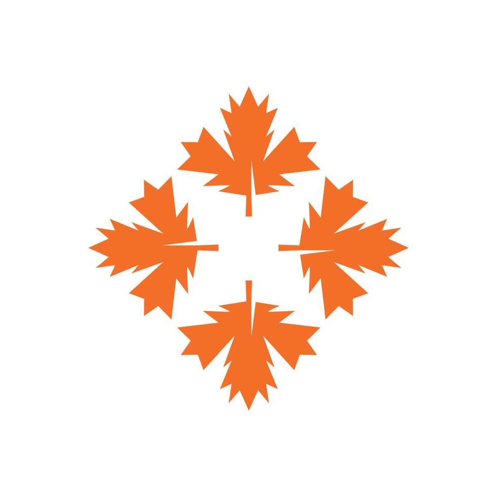 Autumn Maple leaf vector illustration design template