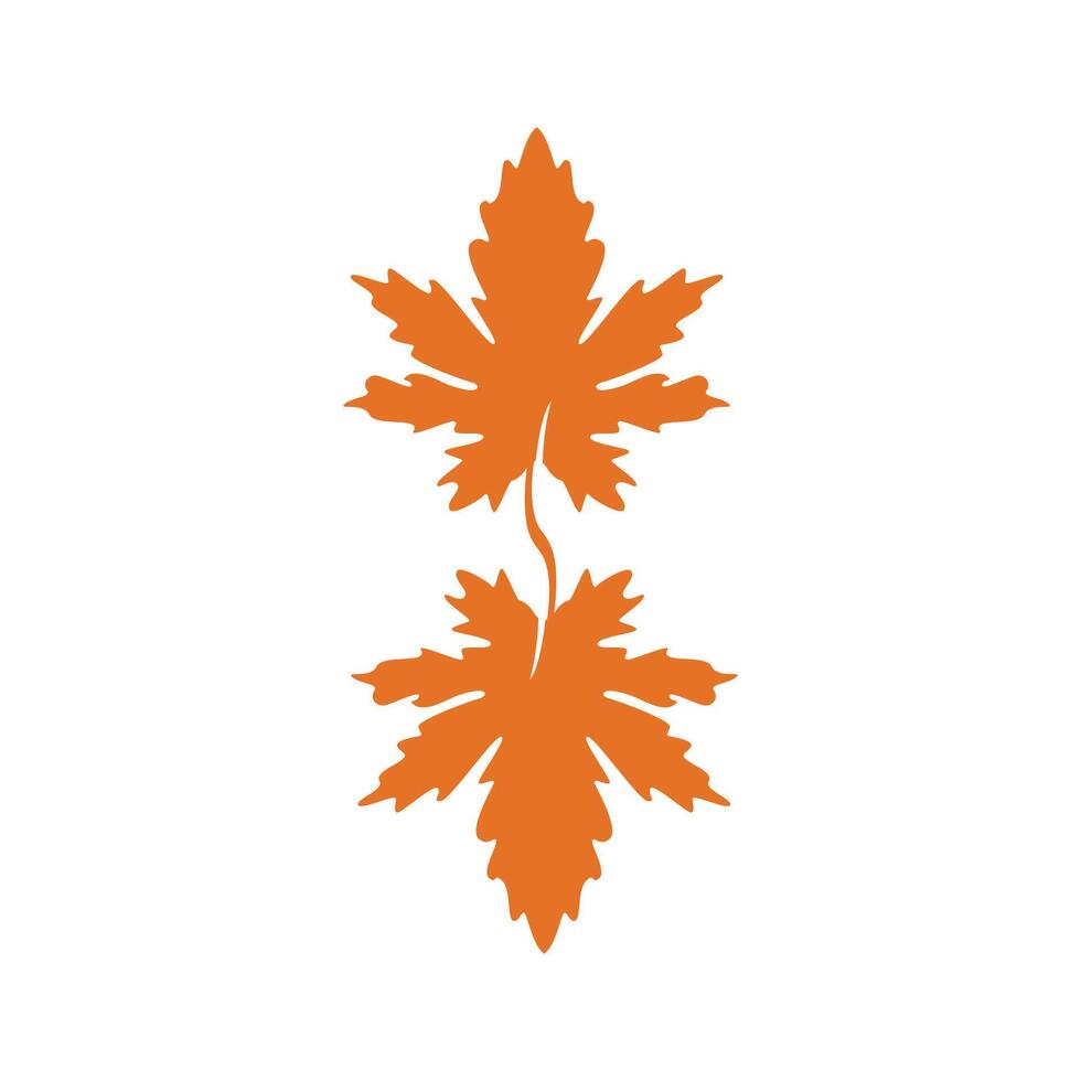 Autumn Maple leaf vector illustration design template