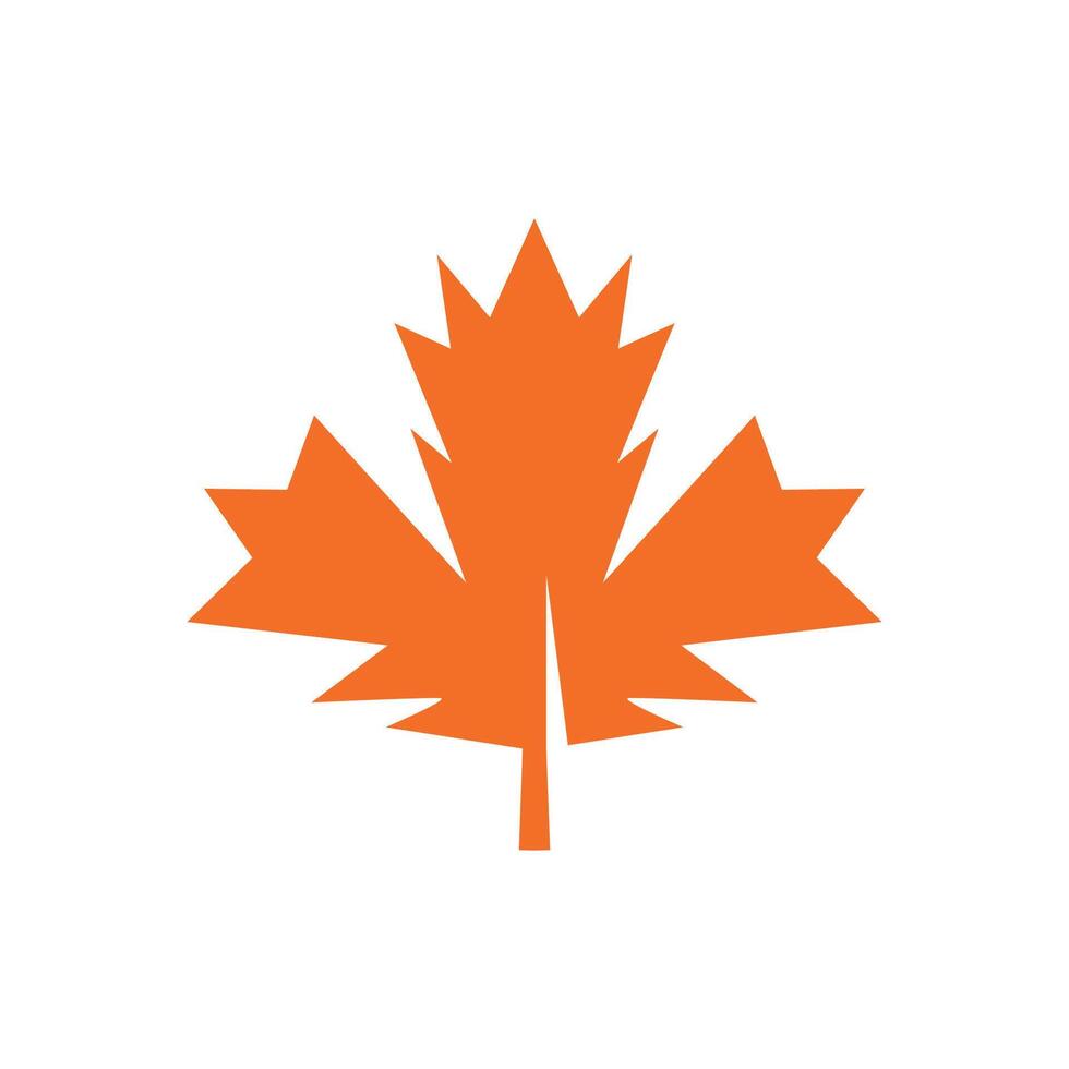 Autumn Maple leaf vector illustration design template