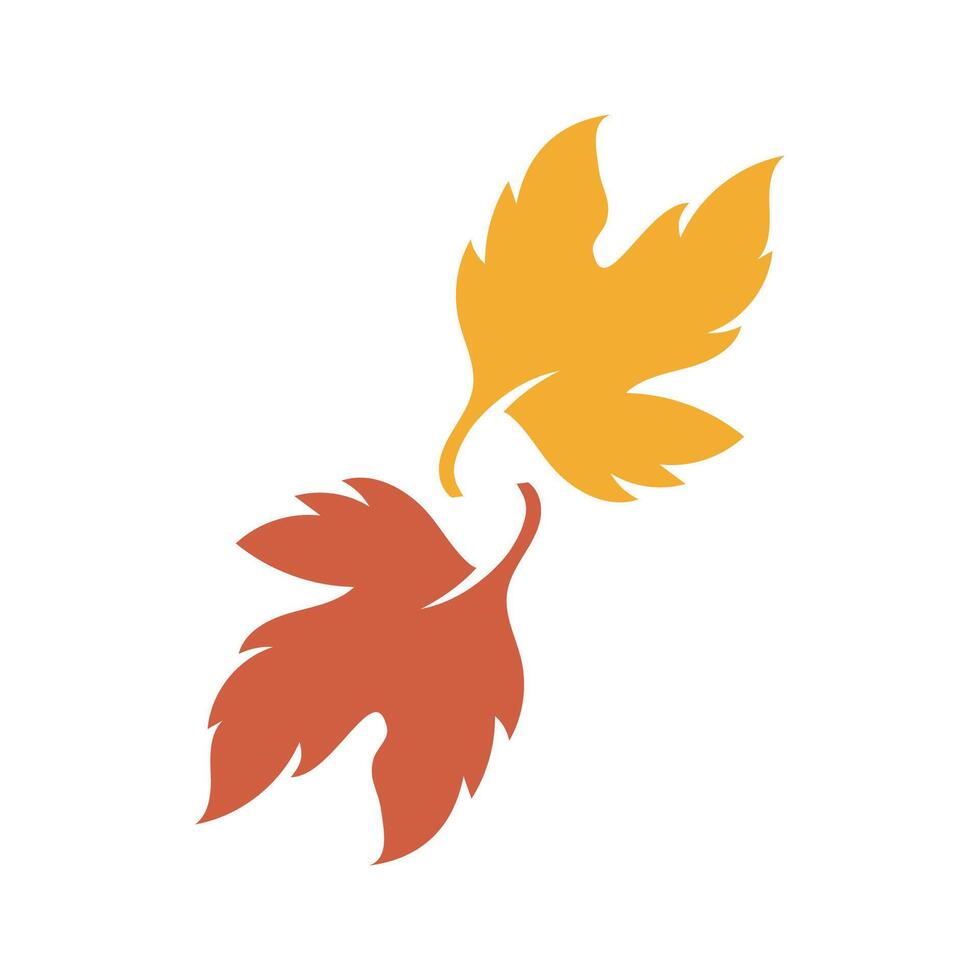 Autumn Maple leaf vector illustration design template