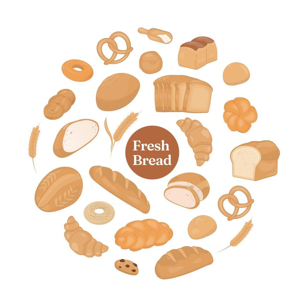 Bread and wheat on white background vector