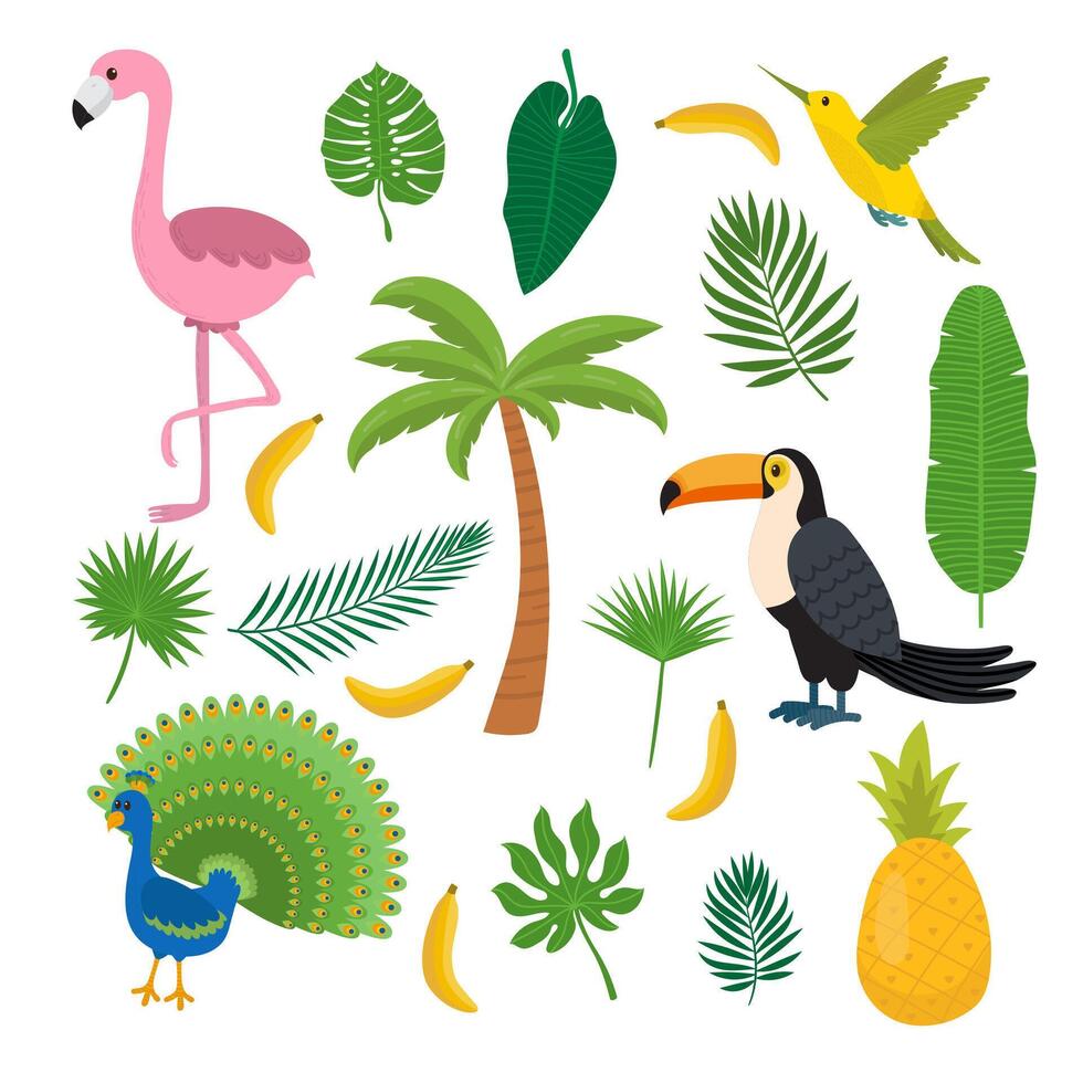 tucán, colibrí y flamenco. verano tropical gráfico elementos. plano diseño. selva floral antecedentes. selva aves. banana, piña, palma vector